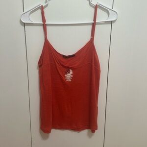 Diplodocus Paris summer tank